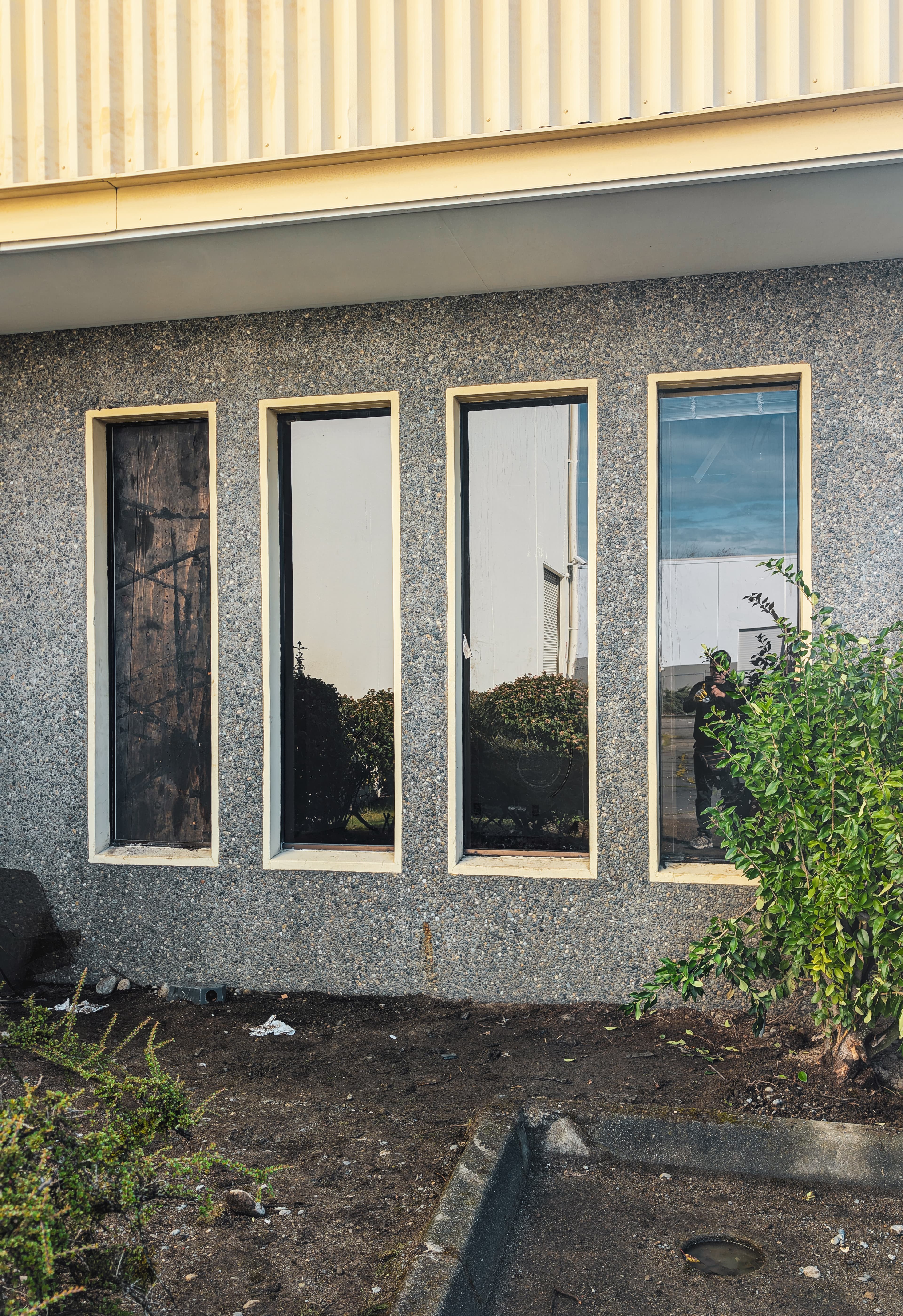 Four vertical windows in a pebbled wall reflecting the sky and a green bush.